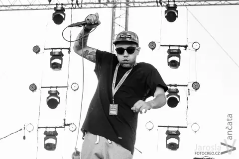 Mighty Sounds 2013