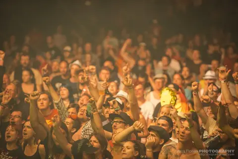 Mighty Sounds 2015