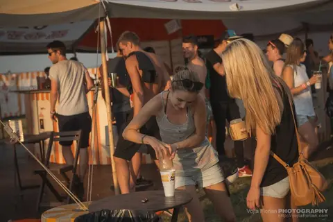 Mighty Sounds 2015