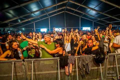 Mighty Sounds 2017