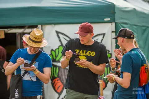 Mighty Sounds 2017
