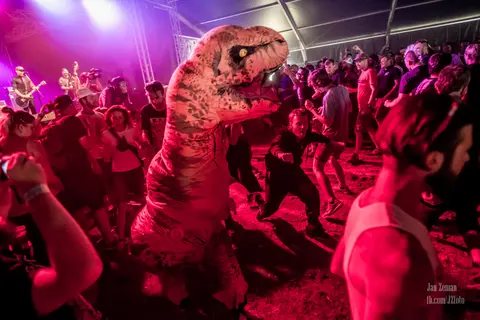 Mighty Sounds 2017