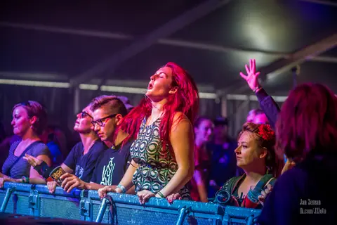 Mighty Sounds 2017