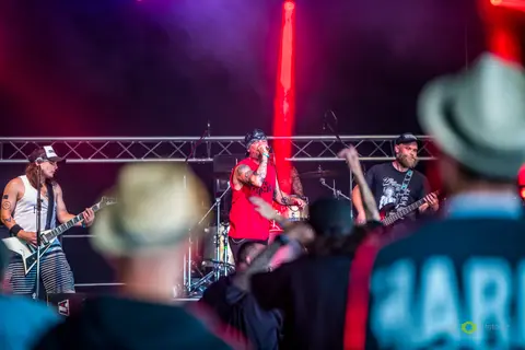 Mighty Sounds 2019